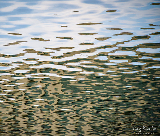_DSC1070
