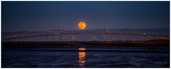 _DSC3864-Edit-1
