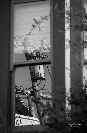 _DSC8914