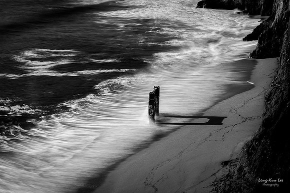 _DSC3531