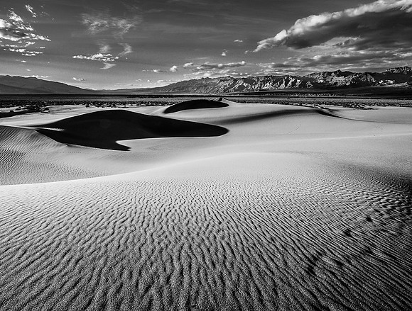 _DSC2505