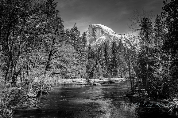 _DSC2873