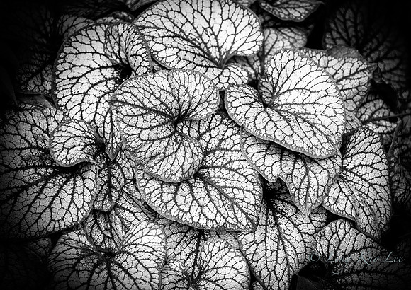 _DSC8134