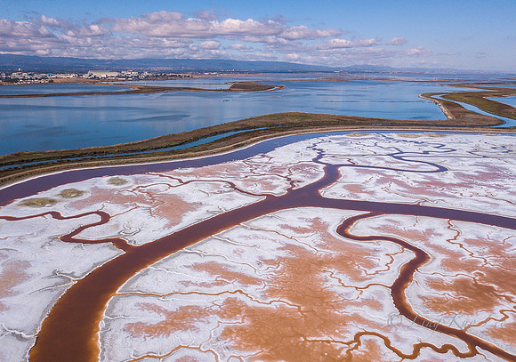 DJI_0066