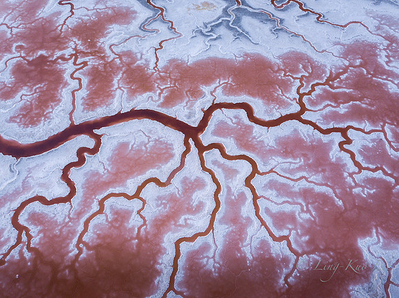 DJI_0088