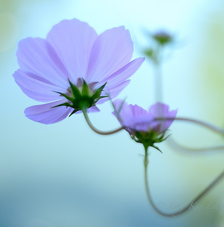 _DSC0140