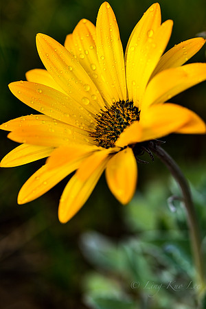 _DSC8357
