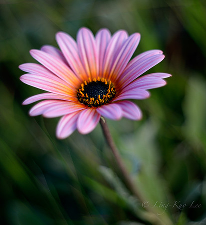 _DSC8487_01