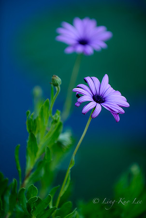 _DSC9714