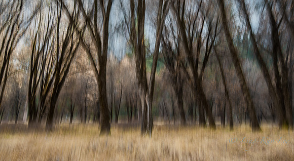 _DSC5712