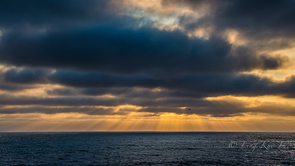 _DSC0534