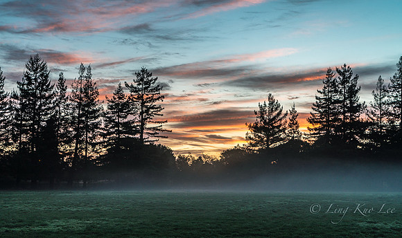 _DSC1815