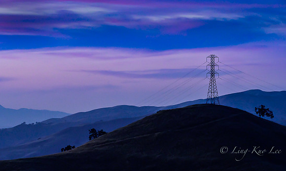 _DSC3991