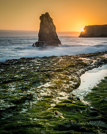 _DSC4340