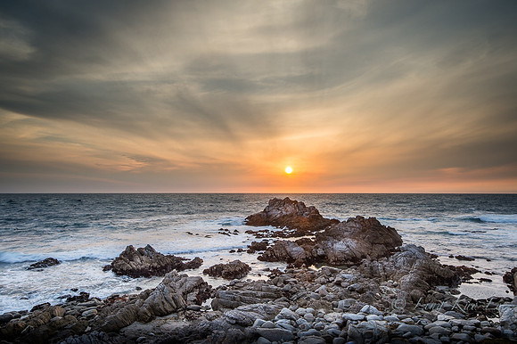 _DSC4830