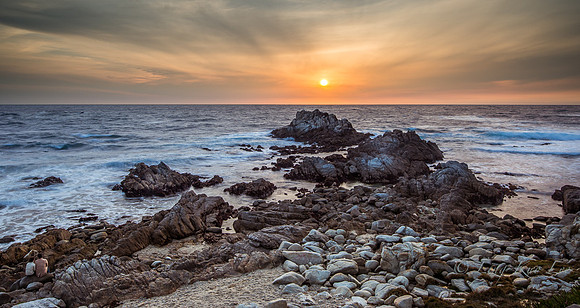 _DSC4855