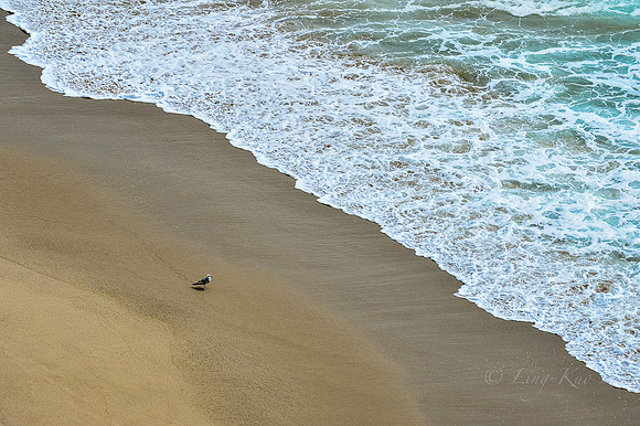 _DSC5132