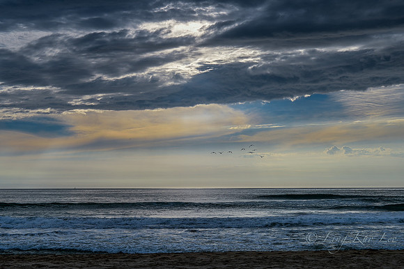 _DSC5269