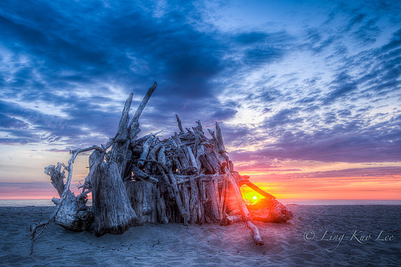 _DSC5491_2_3_4_5