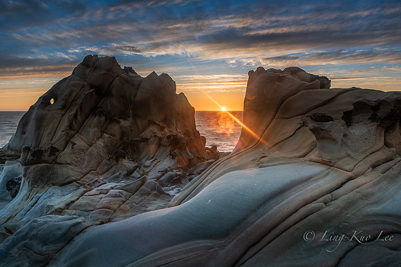 _DSC5536