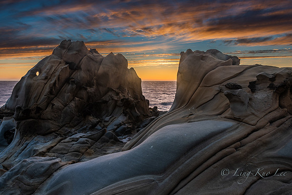 _DSC5551