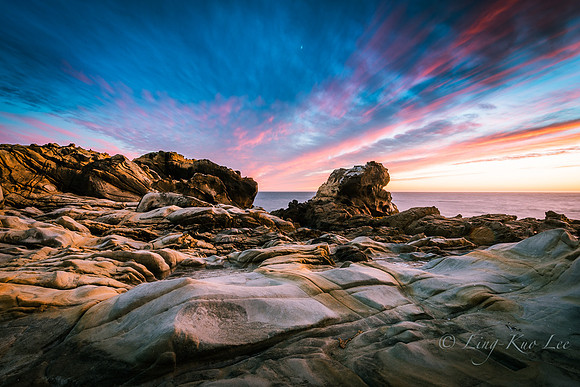 _DSC5556
