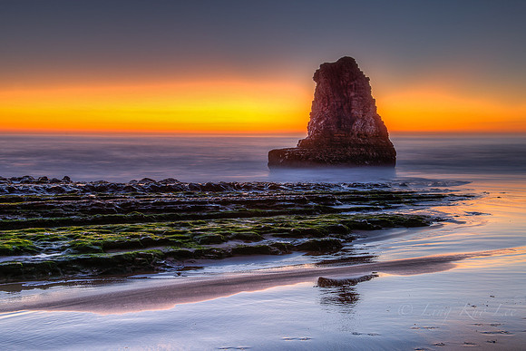 _DSC6754_5_6_7_8