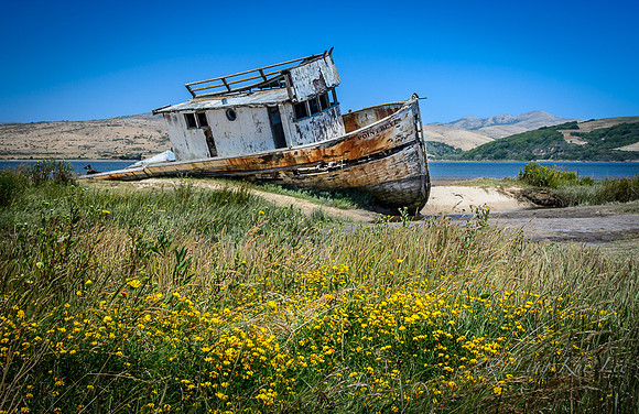 _DSC6982