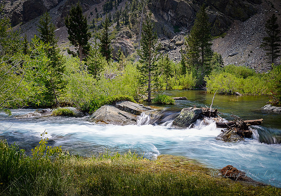 _DSC8007
