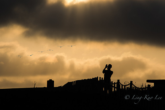 _DSC0463