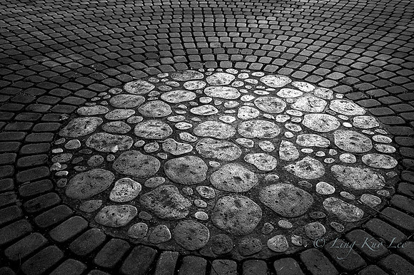 _DSC5549