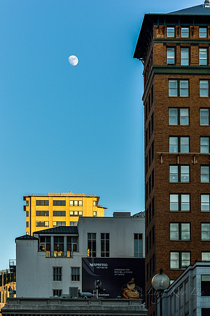 _DSC5619