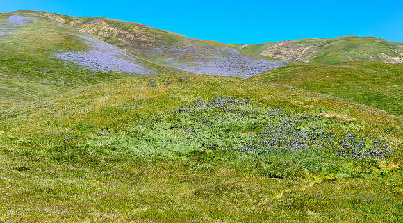_DSC4511