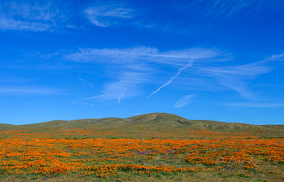 _DSC4465