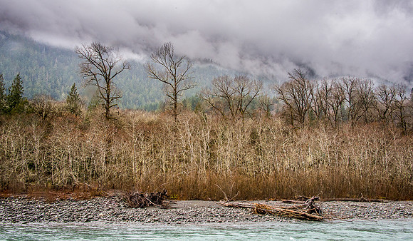 _DSC3963-Edit-Edit
