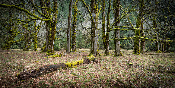 _DSC4015-HDR