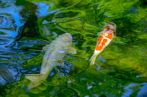 _DSC5140