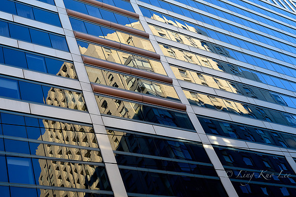 _DSC5595