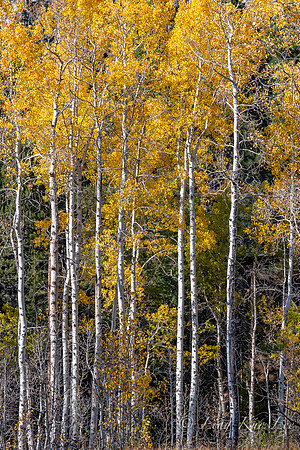 _DSC8274-HDR