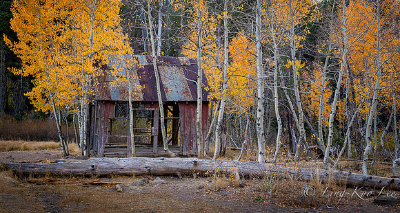 _DSC8747-HDR