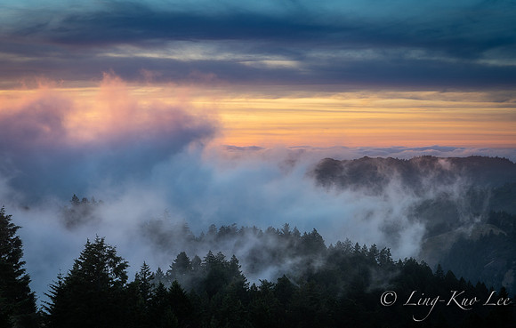 _DSC4570-1