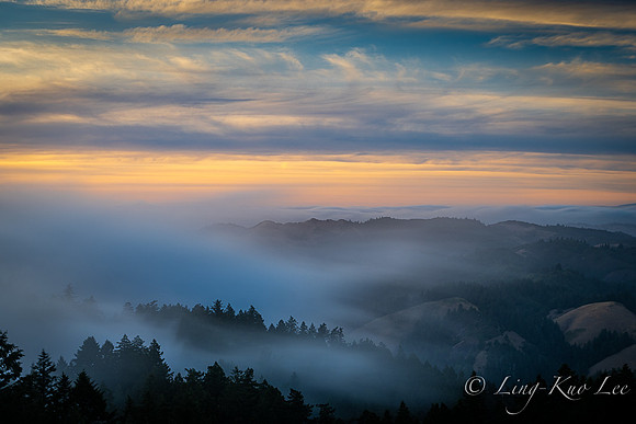 _DSC4548