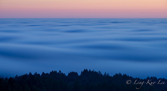 _DSC6309