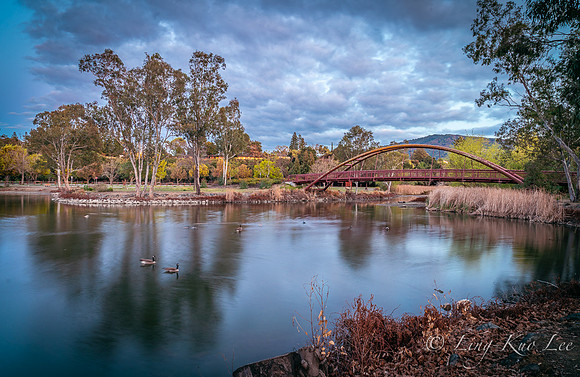 _DSC5684