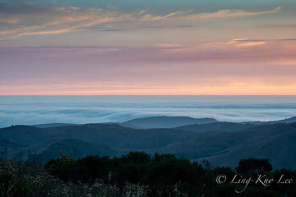 _DSC6711-HDR