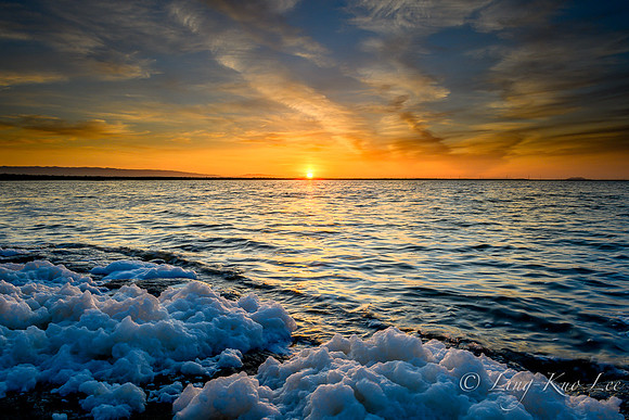 _DSC2537