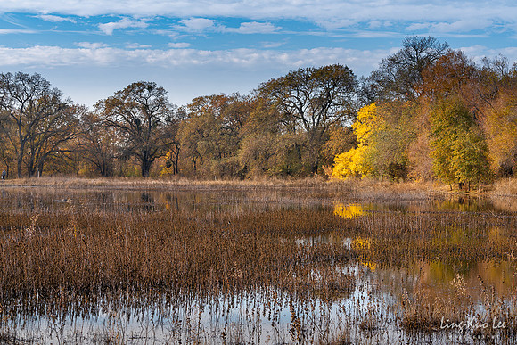 _DSC5985-HDR