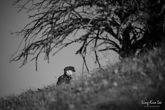 _DSC8947