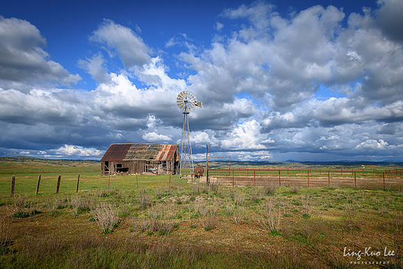_DSC5495