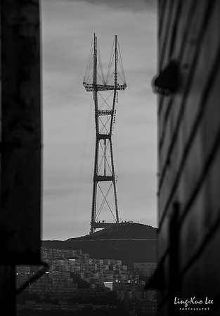 _DSC8916